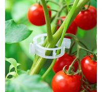 Clips Tomate pour Plantes, 2026 Nouv Plant Support Clips de Jardin, Clip en Plastique Sécurisé pour Plantes, Support pour Plantes, Attache Plante Grimpante pour légumes, tomates et Vignes (150, Blanc)