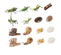 CLISPEED 16 pièces Modèle Animal Éducatif Cycle de Croissance Animale pour Garçon Fille Simulation Réaliste pour Maternelle et Éveil Scientifique Couleur Aléatoire Couleur Aléatoire