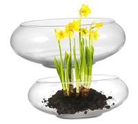 CLISPEED 2 Pièces Bassin Narcisse Verrerie décorative Bol Vase jardinière succulente de Terrarium planteur de nénuphar Rond bocaux à Poisson en Verre Bocal à Poisson Un Verre Transparent