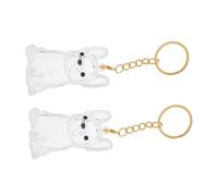 CLISPEED 2 Pièces Porte-clés Mémorial Chien Capsule Transparente pour Poils Animaux Pendentif Rangement Souvenir pour Poils de Chien Accessoire Commémoratif Portable pour Propriétaires