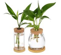 CLISPEED 2 pièces Vases de Propagation Verre avec Bouchon Liège et Plateau Vases Hydroponiques pour Plantes Terrariums Transparents pour Mini Jardins et Plantes Pot de Fleurs Décoratif