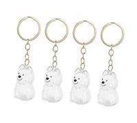 CLISPEED 4 Pièces Boîtier Porte Clés Transparent pour Poils Danimaux Coffret Souvenir Chien et Chat Collection Sécurisée et Portable Accessoire Pratique pour Voyage et Usage