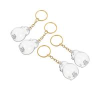 CLISPEED 4 Pièces Porte Clés Boîte de Rangement Transparent pour Poils de Chien Coffret Commémoratif Compact et Accessoire Souvenir pour Collectionner et Protéger Cheveux Danimaux