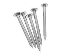 CLISPEED 5 pièces Clous Arpentage Acier Inoxydable Lot de Piquets Durables pour Marquage Précis et Points de Nivellement Piquets Réutilisables pour Observation et Contrôle Topographique