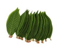 CLISPEED 50 Pièces Magnolia Artificielles Vertes Simulées Matériau PU Feuillage Artificiel pour Décoration et Aménagement Intérieur