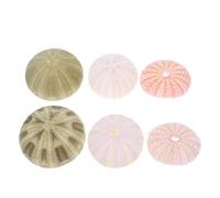 CLISPEED 6 Pièces Décor Aquarium Naturel Conques et Oursins Colorés pour Réservoir Poisson Accessoires de Décoration Réalistes pour Environnement Aquatique Couleur