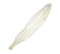 CLISPEED Ballon Météorologique Géant en Latex Blanc 610 CM 600 G pour Prises de Vue Aériennes Décoration de Fête et Expériences Scientifiques