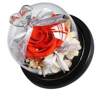 CLISPEED Bouquet De Rose Éternelle Verre Ornement Romantique pour Maison Décoration De Saint-Valentin avec Fleur Immortelle