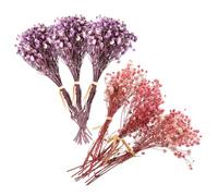 CLISPEED Bouquet Décoratif de 6 Fleurs Séchées Gypsophile Naturelles, Mini Bouquets 12 Cm en Violet et Rose Foncé, Décoration de Mariage, Centre de Table Floral, Ornement pour Fête