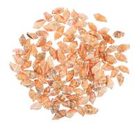 CLISPEED Décor Délicat en Conque Naturelle 100pcs pour Terrarium et Plante en Pot Bords Lisses sans Arêtes, pour Jardin et Design de Bijoux