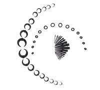 CLISPEED Écarteur Oreilles Kit Corne de Bœuf Acrylique Noir Extenseur Bouchons Piercing Unisexe Quotidien Taille Unique