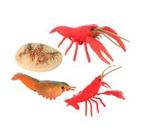CLISPEED Écrevisses Jouet Cycle De Croissance Modèles Écrevisses Jouets Éducatifs pour Garçon Fille Cycle De Vie du Homard Modèles Évolution Animale Animaux