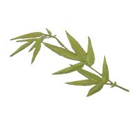 CLISPEED Écusson Brodé Feuille de Bambou Chinois Patchs Résistants à L'Usure Autocollants Thermocollants Décoratifs pour Vêtements DIY Accessoires Vestimentaires Multifonctions Taille