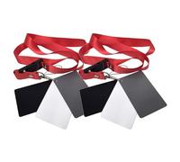 CLISPEED Jeu de 2 Cartes Gris pour Photographie, Équilibre des Couleurs Précis, Acrylique Léger avec Lanière de Cou, pour Appareils Photo Numériques