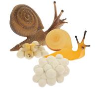 CLISPEED Jouet Escargot De Croissance Simulée Modèles De Cycle De Vie Escargot Jouets Cognitifs pour Garçon Fille