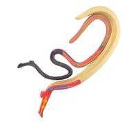 CLISPEED Modèle Anatomique Schistosome Hermaphrodite Détaillé pour Enseignement Biologique et Recherche Salle de Classe