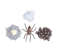 CLISPEED Modèle Cycle de Vie Animal Figurine Éducative Évolution de Araignée pour Garçon Fille Décoration Fête et Collection