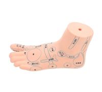 CLISPEED Modèle de Massage des Pieds et d'Acupuncture Plantaire 19 CM Modèle Pédagogique de Zone Réflexe du Pied Gauche Outil Éducatif pour Formation en Réflexologie et Massage