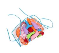 CLISPEED Tablier Éducatif Organes Internes pour Garçon Fille Cognitif Anatomie Corps Humain Outil Apprentissage Précoce Garçon Fille Cadeau Éducatif