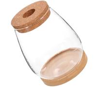 CLISPEED Vase Hydroponique en Verre, Vase à Composition avec Support en Bambou, pour Fleurs et Plantes, Intérieur, Présent pour Amis