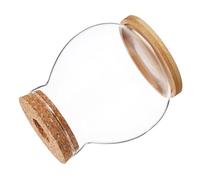 CLISPEED Vase Hydroponique Verre pour Plantes Terrarium De Table Contenant De Fleurs Verre pour Bureau Et Maison