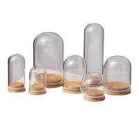Cloche À Dôme En Verre, Scellée Avec Base Bois, Bocal Borosilicate Transparent, Bouteilles, Affichage Vide for Faveurs, Plantes, Bricolage(12 * 26cm)