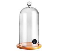 Cloche à fumer pour cuisine moléculaire couvercle dôme pour cocktail gâteau fumage cloche dôme pour cocktails
