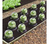 IDMarket – Cloche à salades – Serre de protection pour plants – x12