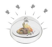 Cloche anti-mouches pour aliments (acier inoxydable) Housses de protection pour denrées alimentaires Housses de protection et anti-mouches Housse de protection pour fruits pour les aliments, fromage