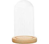 Cloche cloche en verre avec base en bois - 12 x 18 cm transparente pour fleurs, bougies et objets de collection, cadeau idéal pour pendaison de crémaillère (12 x 18 cm)