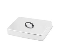 Cloche de Cuisson avec Poignée Anti-Chaleur, Cloche Plancha Rectangulaire, Couvercle de en Acier Inoxydable, Couvercle Plancha pour Barbecue, Hamburgers, Steaks et Galettes, 43.5 X 28.3 X 6.6 Cm