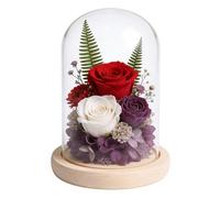 Cloche en verre avec fond en bois - 12 x 16 cm - Dôme en verre avec socle en bois naturel - Grande cloche en verre - Décoration pour poupées, bougies, rose, maison, objets de collection (sans lampe)