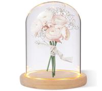 Cloche en Verre avec Socle en Bois Naturel, Mini Cloche en Verre Transparent, Décorative Transparente avec Fond en Bois pour Lumières, Décorations De Table, Antiquités