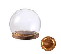 Cloche en verre, dôme d'affichage de pot de cloche, couvercle de dôme en verre transparent, 1 ensemble de dôme en verre, vitrine de table transparente, dôme de cloche de pot de cloche avec base lumine