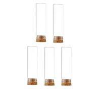 Cloche en verre, dôme d'affichage de pot de cloche, couvercle de dôme en verre transparent, 5 mini bouteilles en verre avec bouchons en liège en bois, bouteille de potion miniature, bouteilles de souh