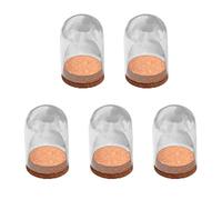 Cloche en verre, dôme d'affichage de pot de cloche, couvercle de dôme en verre transparent, 5 mini-dôme de cloche en verre avec base en bois - couvercle de présentoir de bouteilles de pot de cloche av