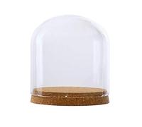 Cloche en verre, dôme d'affichage de pot de cloche, couvercle de dôme en verre transparent, couverture de table miniature de paysage de pot de cloche de cloche avec base en bois, vitrine de table déco