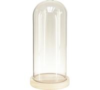 Cloche en verre Linteau en verre avec pied en bois Vitrine décorative Transparent Ø14cm H28,5cm Polyvalent Design élégant