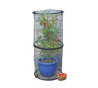 Cloche transparente Haxnicks Cloche010101, 50 x 50 x 110 cm Cloche pour tomates 50x50x110 cm transparent
