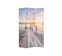 vidaXL Cloison de séparation pliable 120 x 170 cm Lac