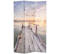 vidaXL Cloison de séparation pliable 120 x 170 cm Lac