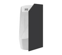 Cloison d'urinoir 40 x 90 cm - Noir - Anti-vandalisme - Étanche et facile à nettoyer - Séparation d'urinoir pour toilettes publiques - Pour hôtel, bar, angle incliné