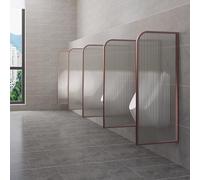 Cloison murale pour urinoir, panneau en verre translucide pour intimité dans les toilettes publiques, séparateur durable pour toilettes pour hommes dans les bars et les écoles