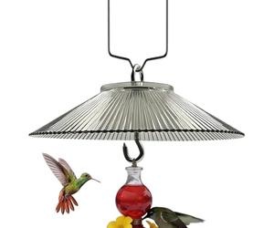 Cloisons d'écureuils pour mangeoires d'oiseaux | Protections contre les petits animaux, mangeoire à oiseaux écureuil | Pour les amateurs de nichoirs jardin maison intérieur extérieur pelouse jardin