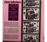Close Lobsters - Foxheads Stalk This Land