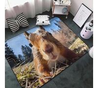 Close-Up Curious Tapis de salon et chambre à coucher, lavable, doux, 1,8 x 1,7 m, antidérapant, tapis d'intérieur, décoration esthétique de chambre, 60 x 39 cm