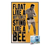 Close Up Muhammad Ali Poster (Float Like A Butterfly, Sting Like a Bee) (Dimensions : 61 cm x 91,5 cm) (Poster et bandes d'affiche)