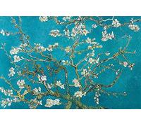 Close Up Poster de Van Gogh Amandier en Fleurs, 1890 (91,5cm x 61cm) + 2 tringles Transparentes avec Suspension