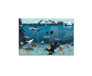 Close Up Poster du monde sous-marin XL | pour enfants | avec objets dessinés à la main | Créatures marines avec désignation | Image cachée à découvrir | 170 g/m² | 91,5 x 61 cm
