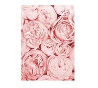 Close Up Poster Paris rose - Format A4 (21 x 29,7 cm) - Décoration murale vintage de qualité supérieure - Pivoine - Décoration murale